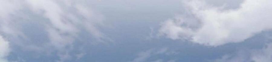 Chapter 375 trang 86