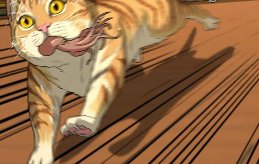 Chapter 14 trang 115