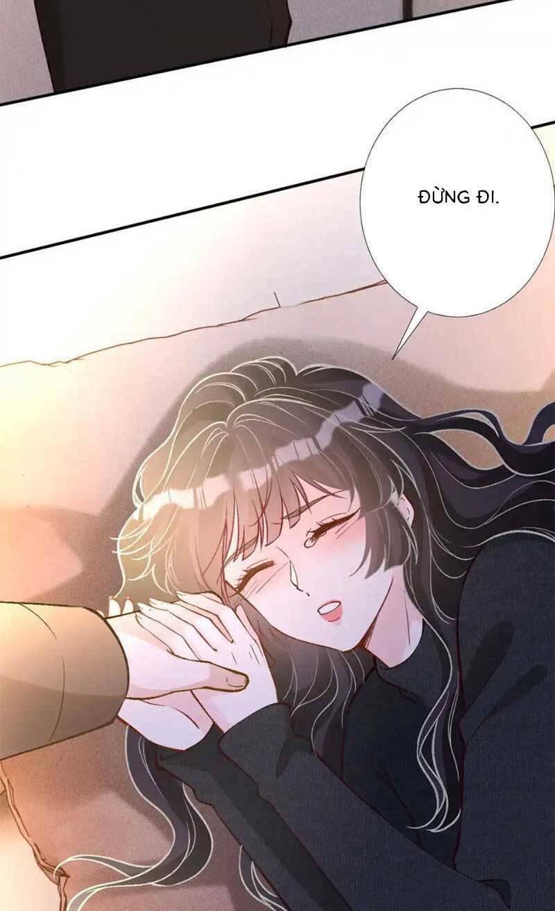 Chapter 294 trang 41