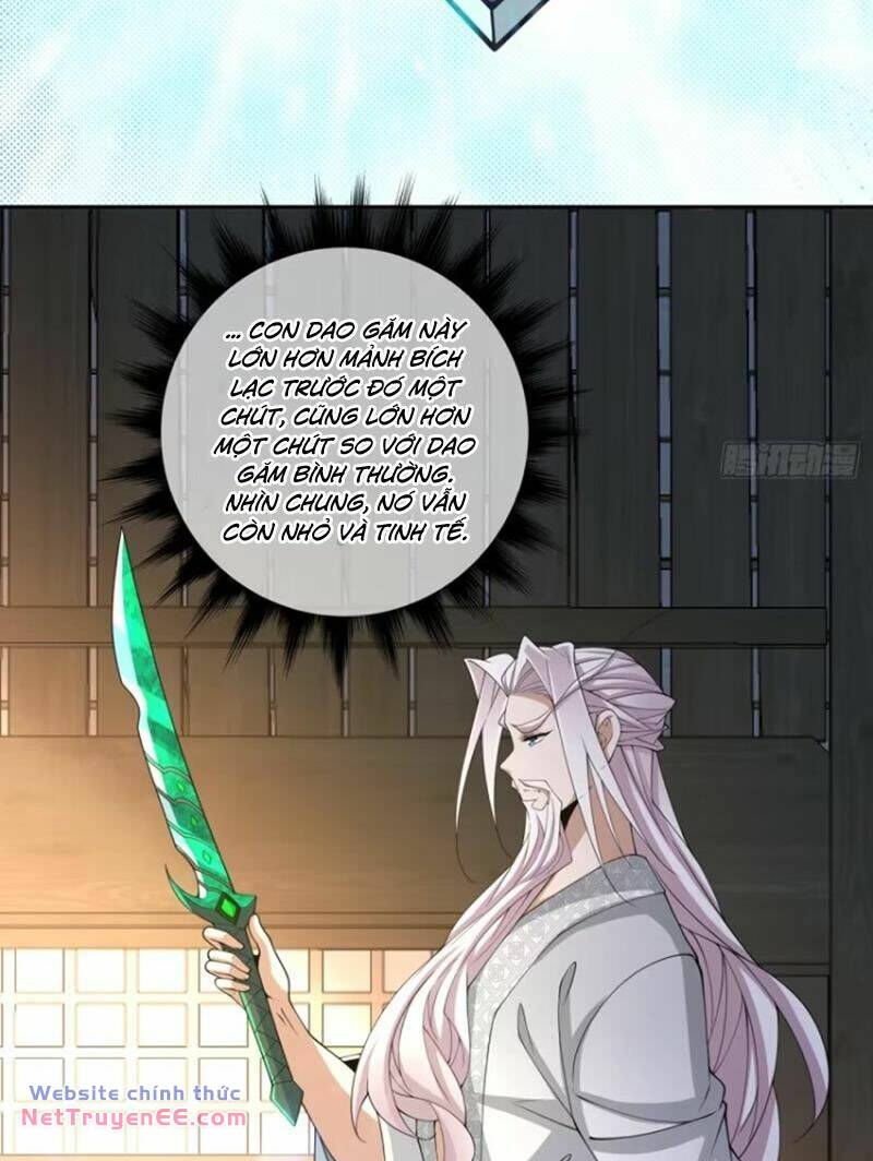 Chapter 206 trang 32