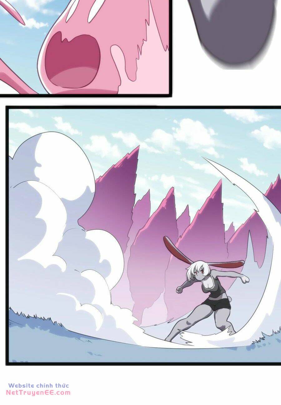 Chapter 126 trang 14