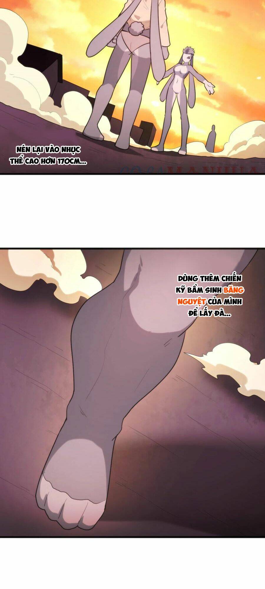 Chapter 218 trang 34