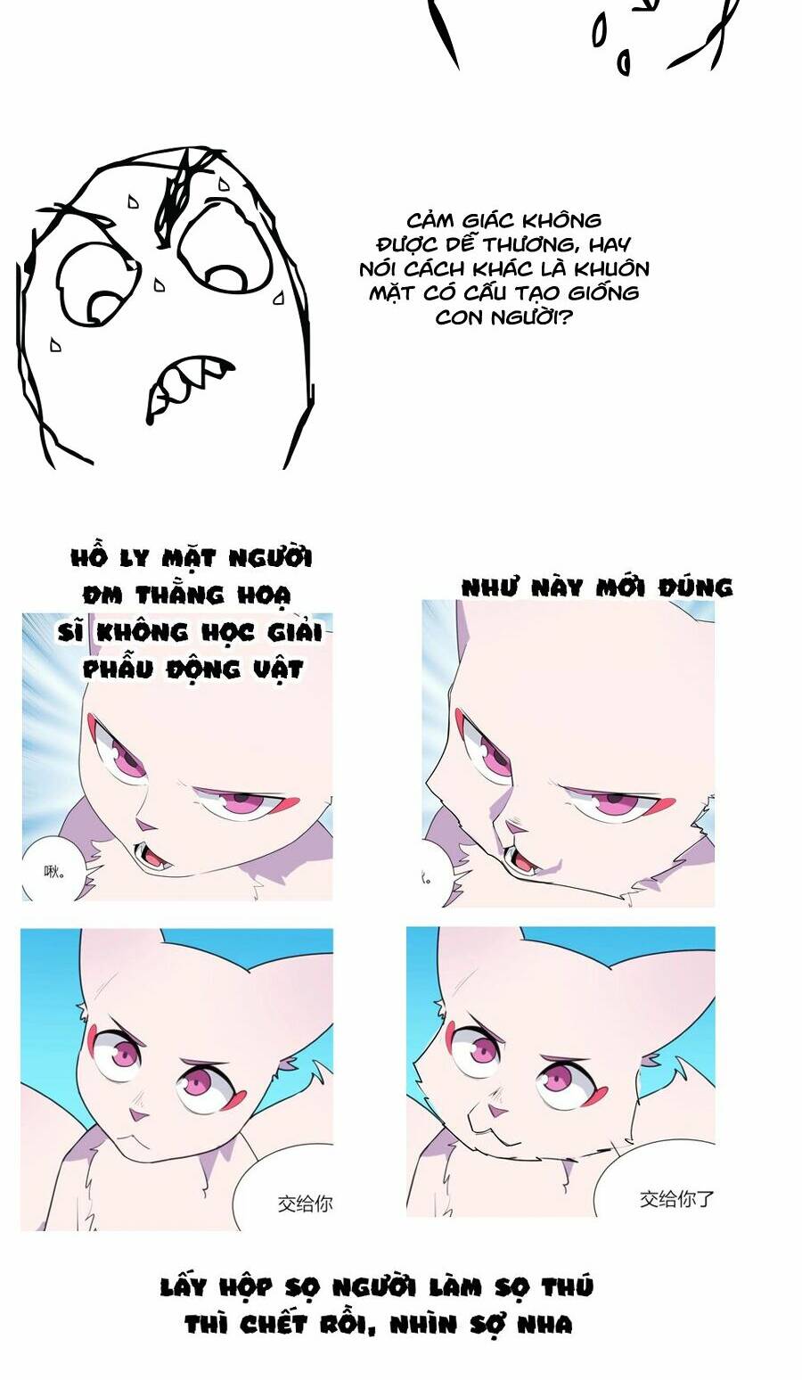 Chapter 221 trang 34