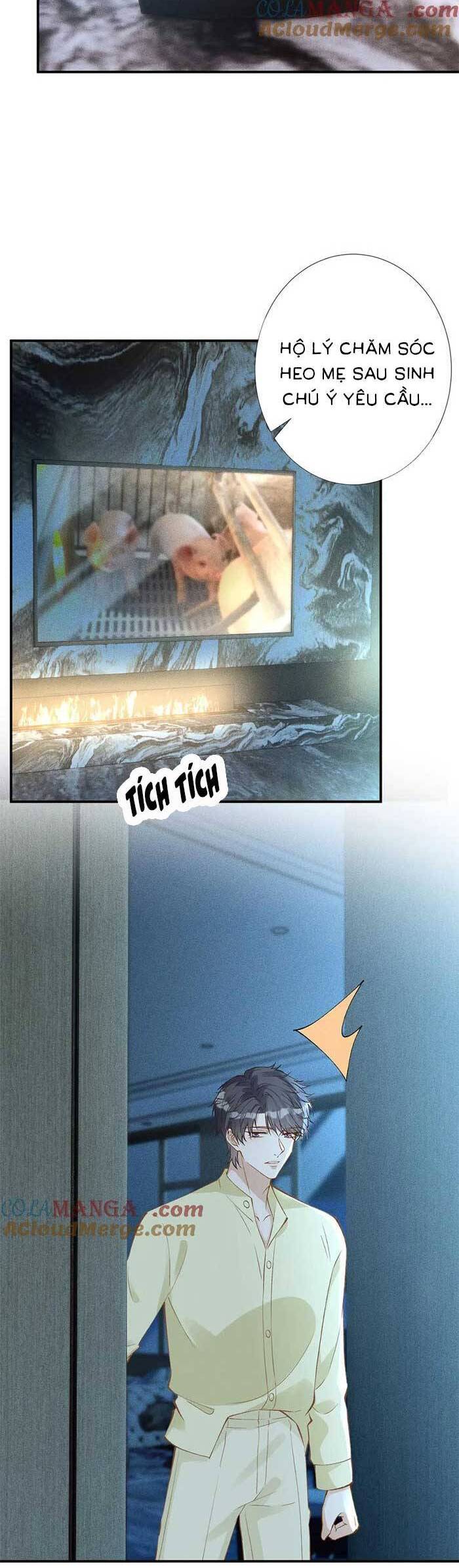 Chapter 313 trang 14