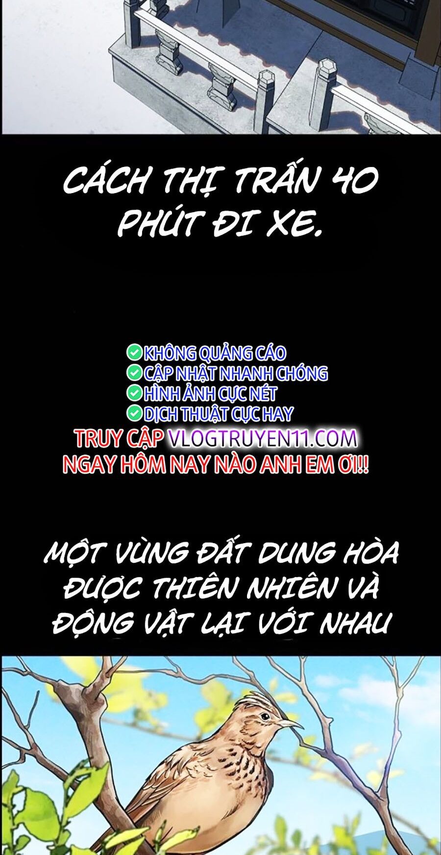 Chapter 132 trang 16