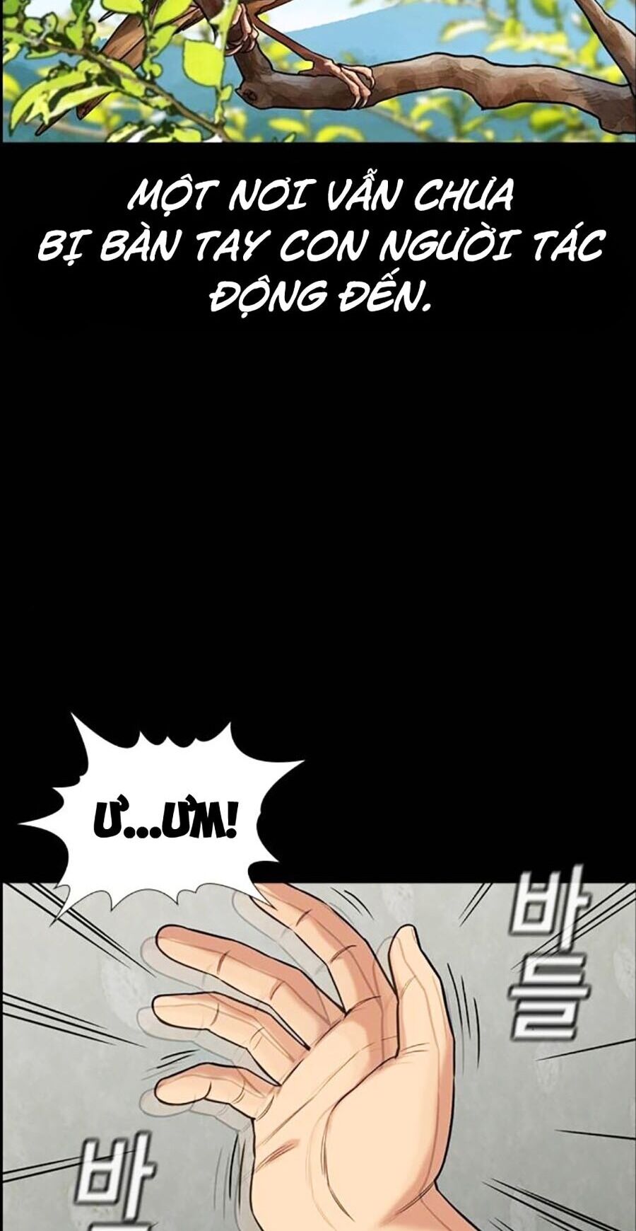 Chapter 132 trang 17