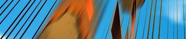 Chapter 45 trang 232