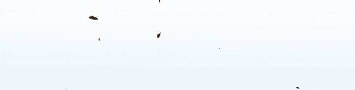 Chapter 45 trang 296