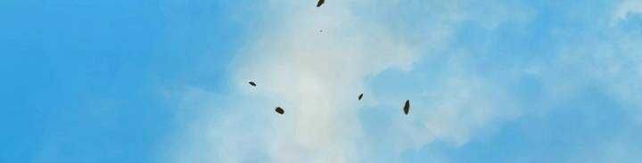 Chapter 45 trang 304