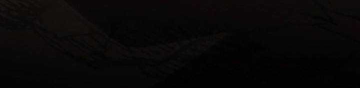 Chapter 45 trang 354