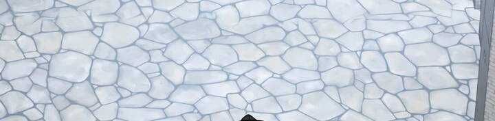 Chapter 46 trang 317