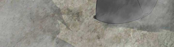 Chapter 46 trang 376