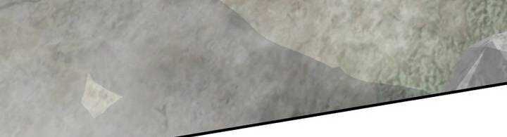 Chapter 46 trang 377