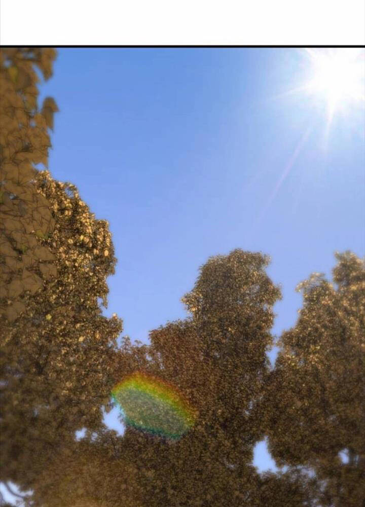 Chapter 24 trang 130