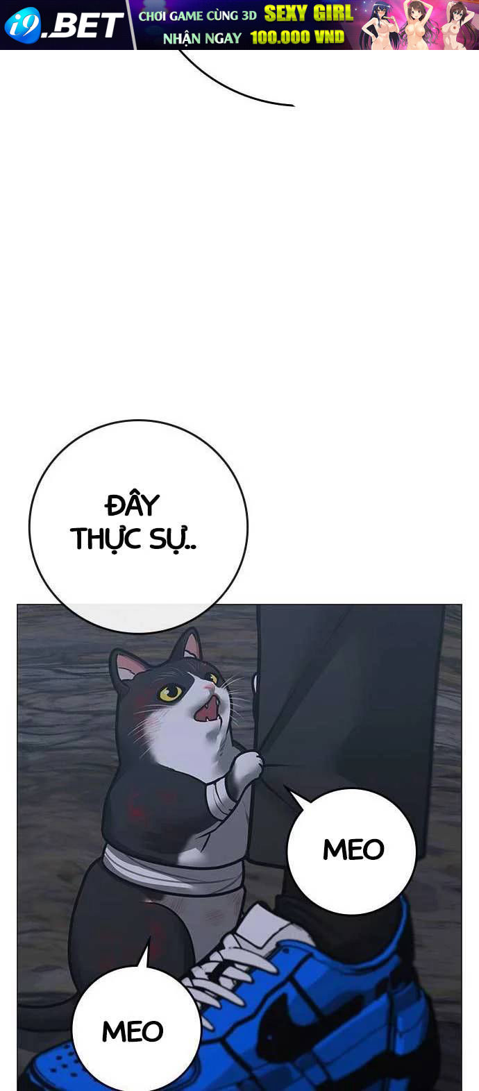 Chapter 134 trang 74