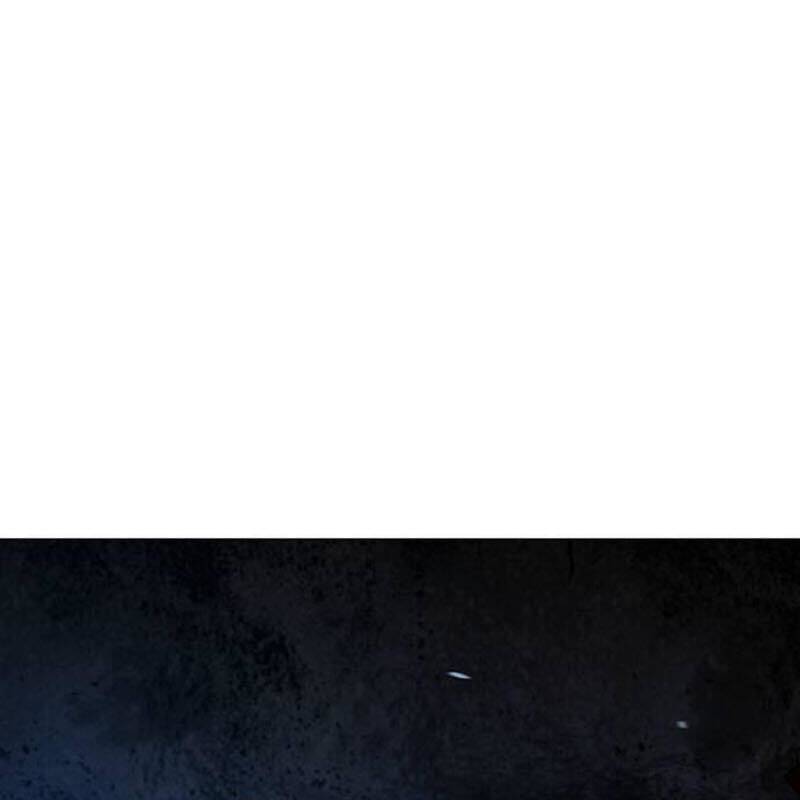 Chapter 135 trang 339