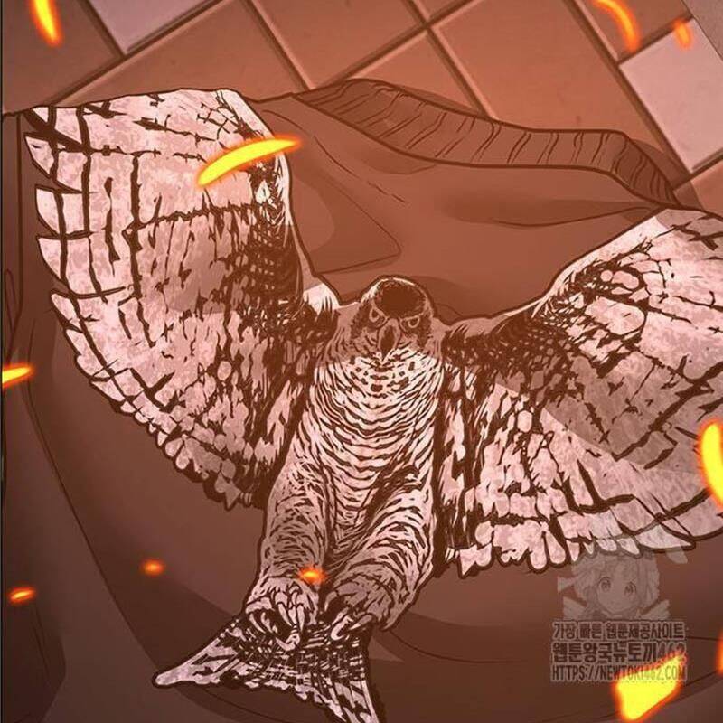 Chapter 135 trang 58