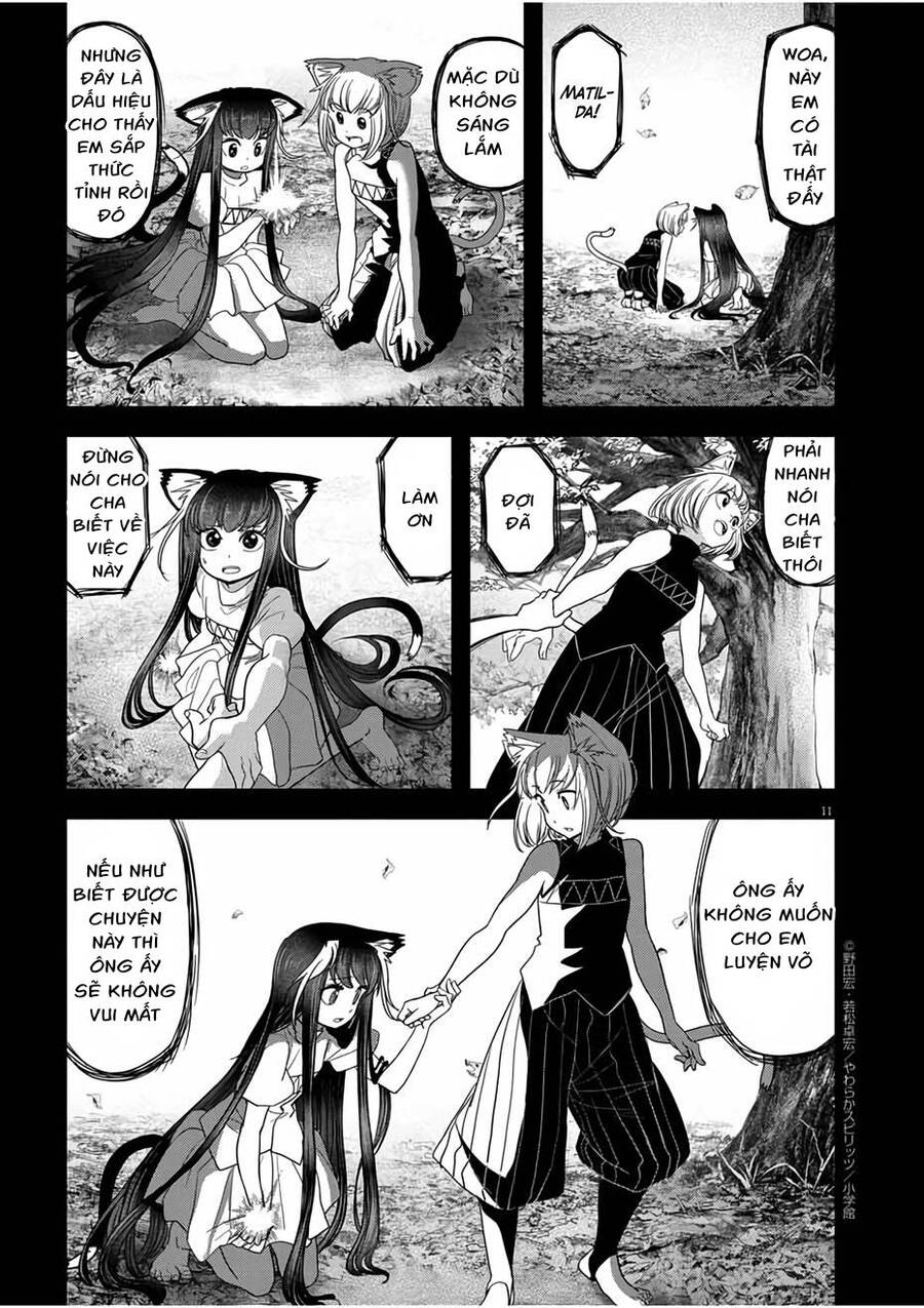 Chapter 15.1 trang 11