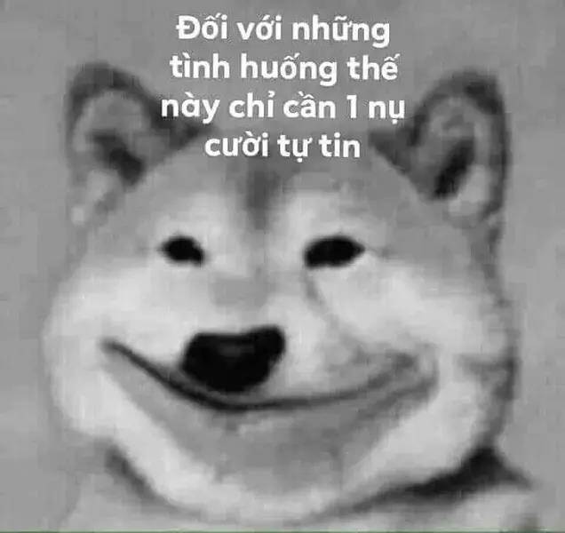 Chapter 15.1 trang 20