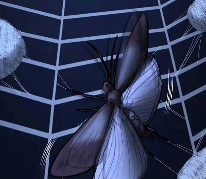 Chapter 141 trang 331