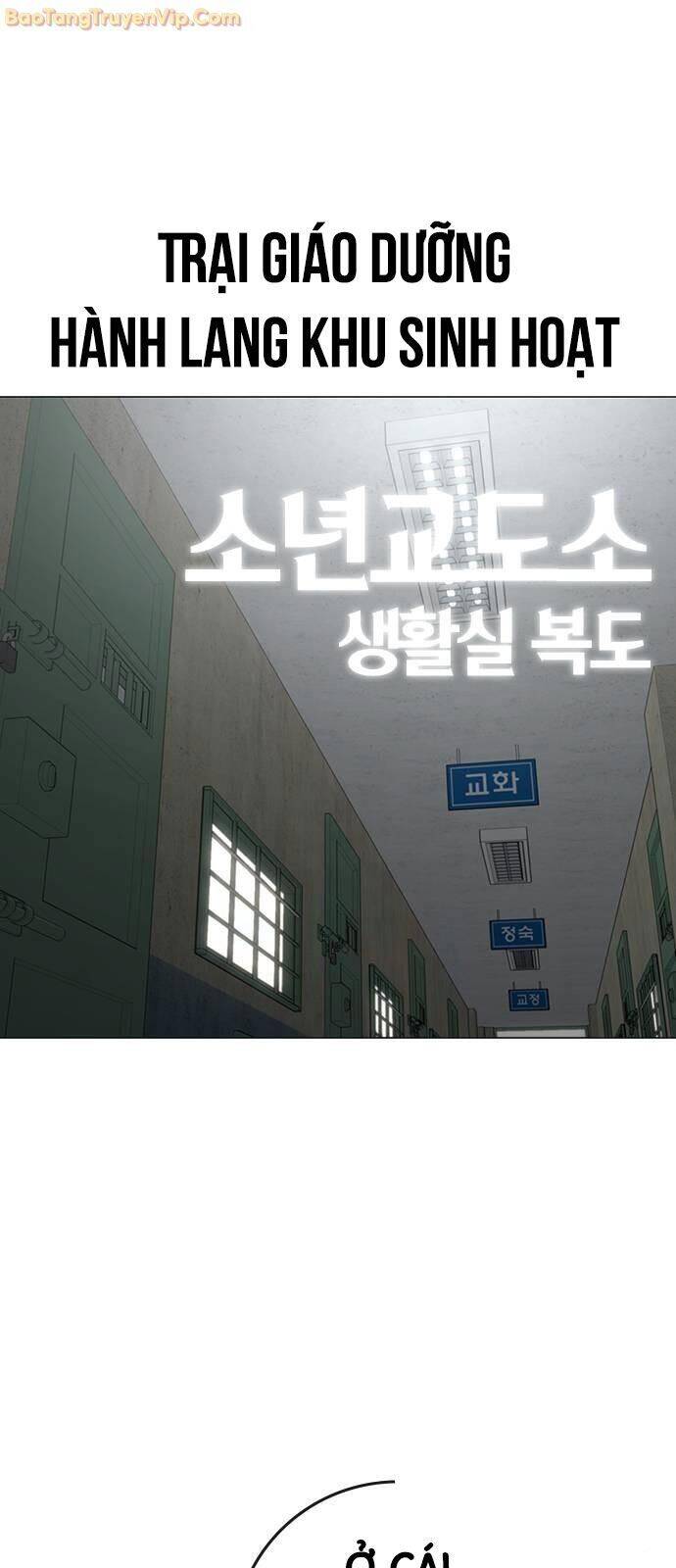 Chapter 146 trang 11