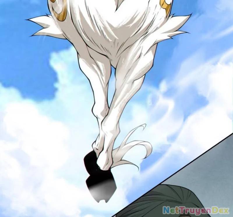 Chapter 326 trang 29