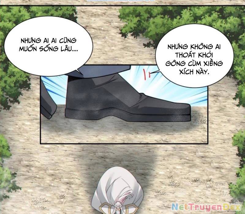 Chapter 327 trang 14