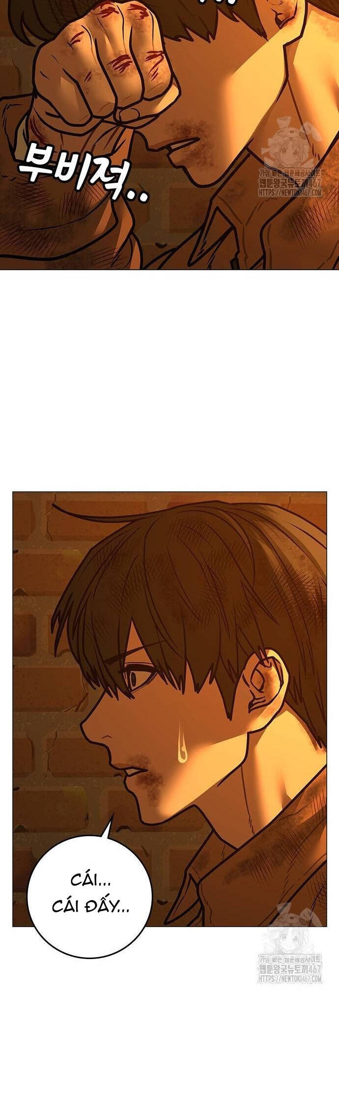 Chapter 148 trang 41