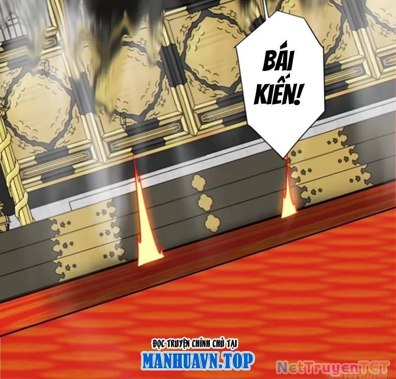 Chapter 337 trang 81