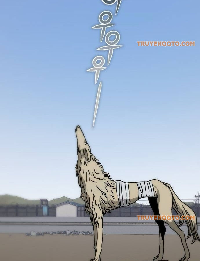 Chapter 41 trang 135