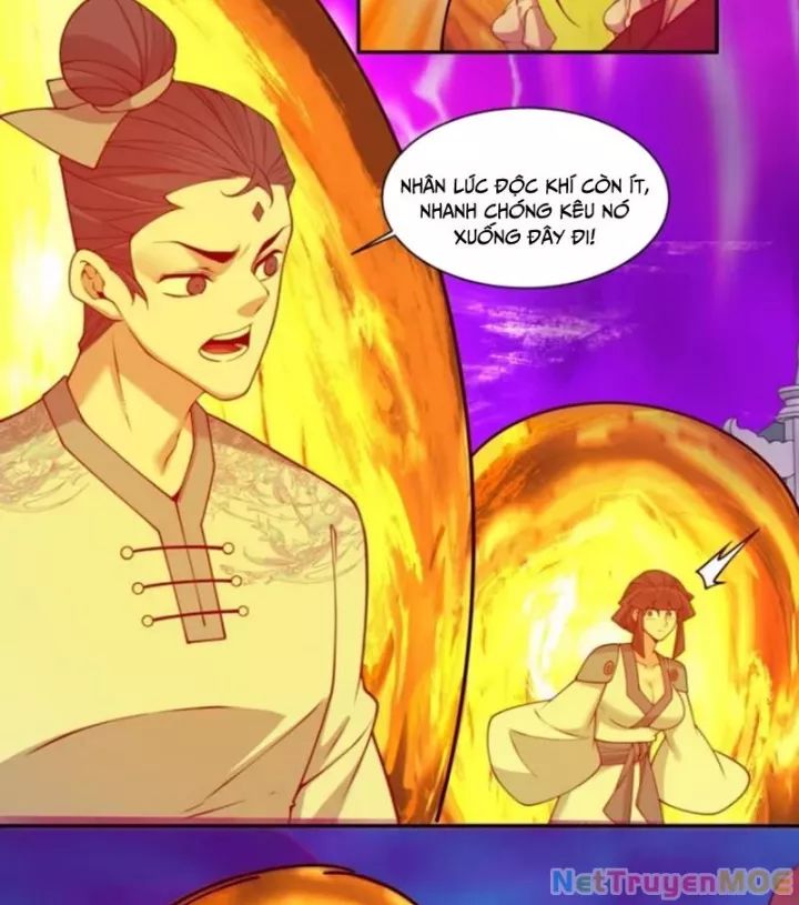 Chapter 352 trang 13