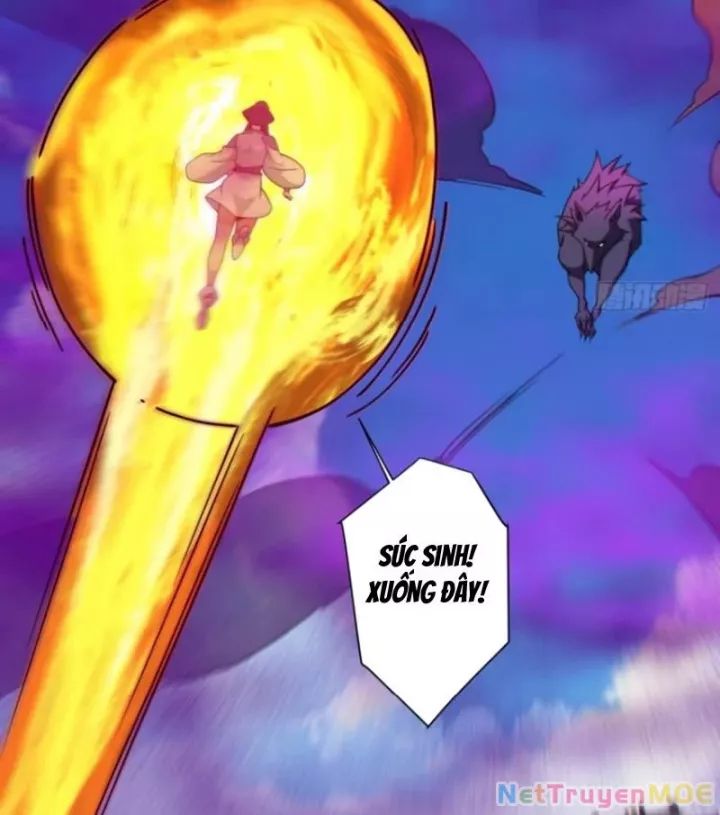 Chapter 352 trang 14