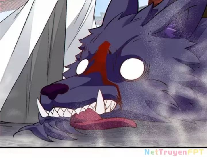 Chapter 354 trang 66