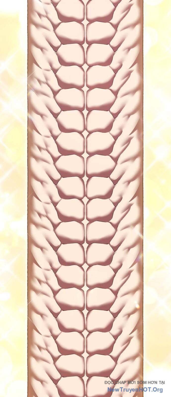 Chapter 129 trang 19