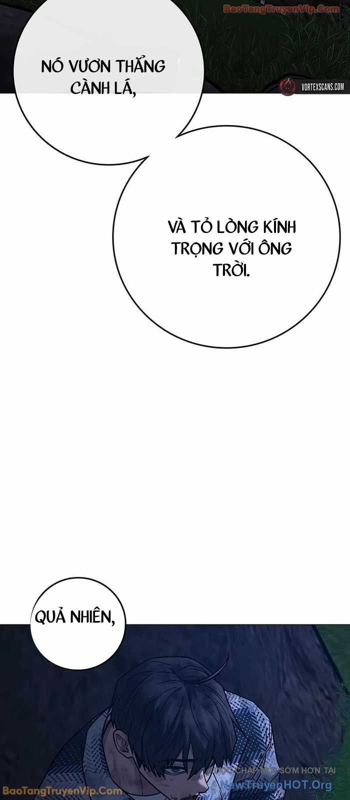 Chapter 166 trang 34