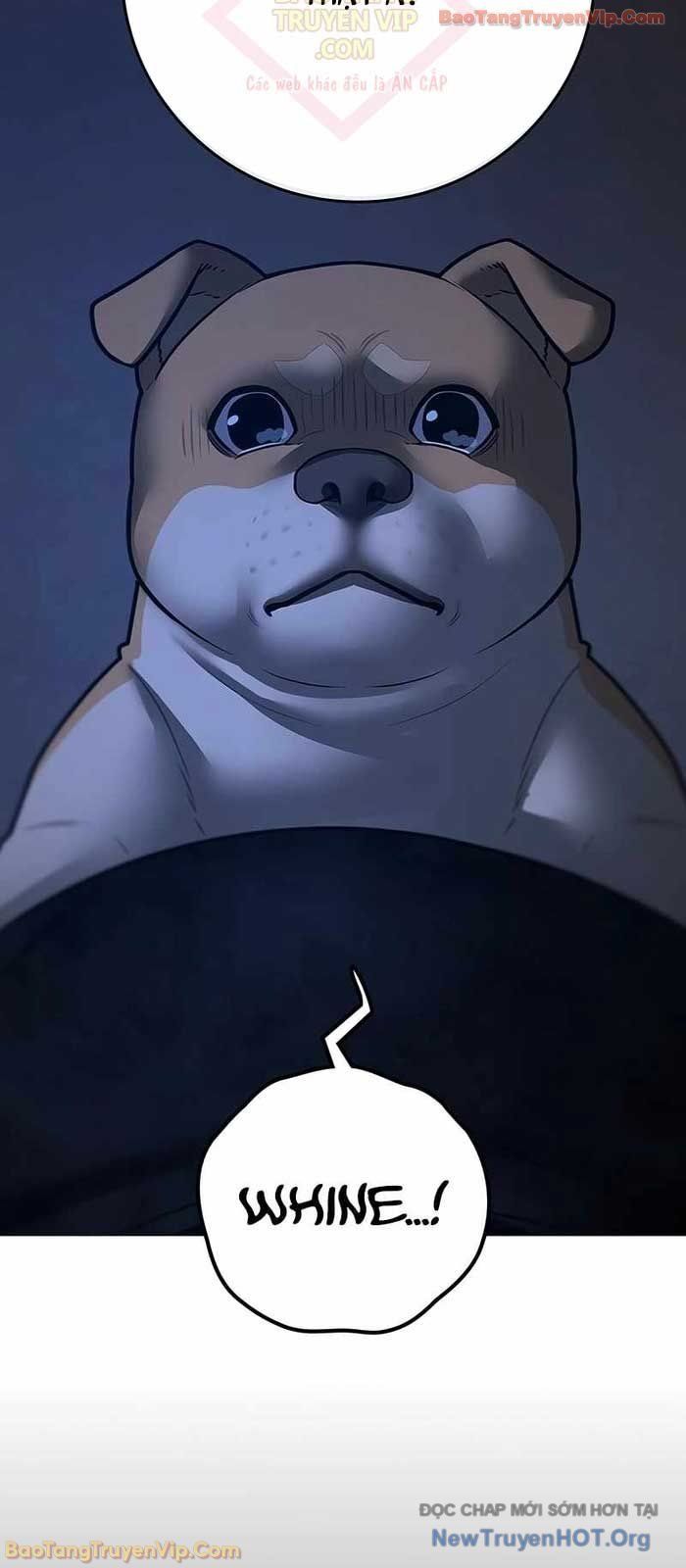 Chapter 166 trang 41