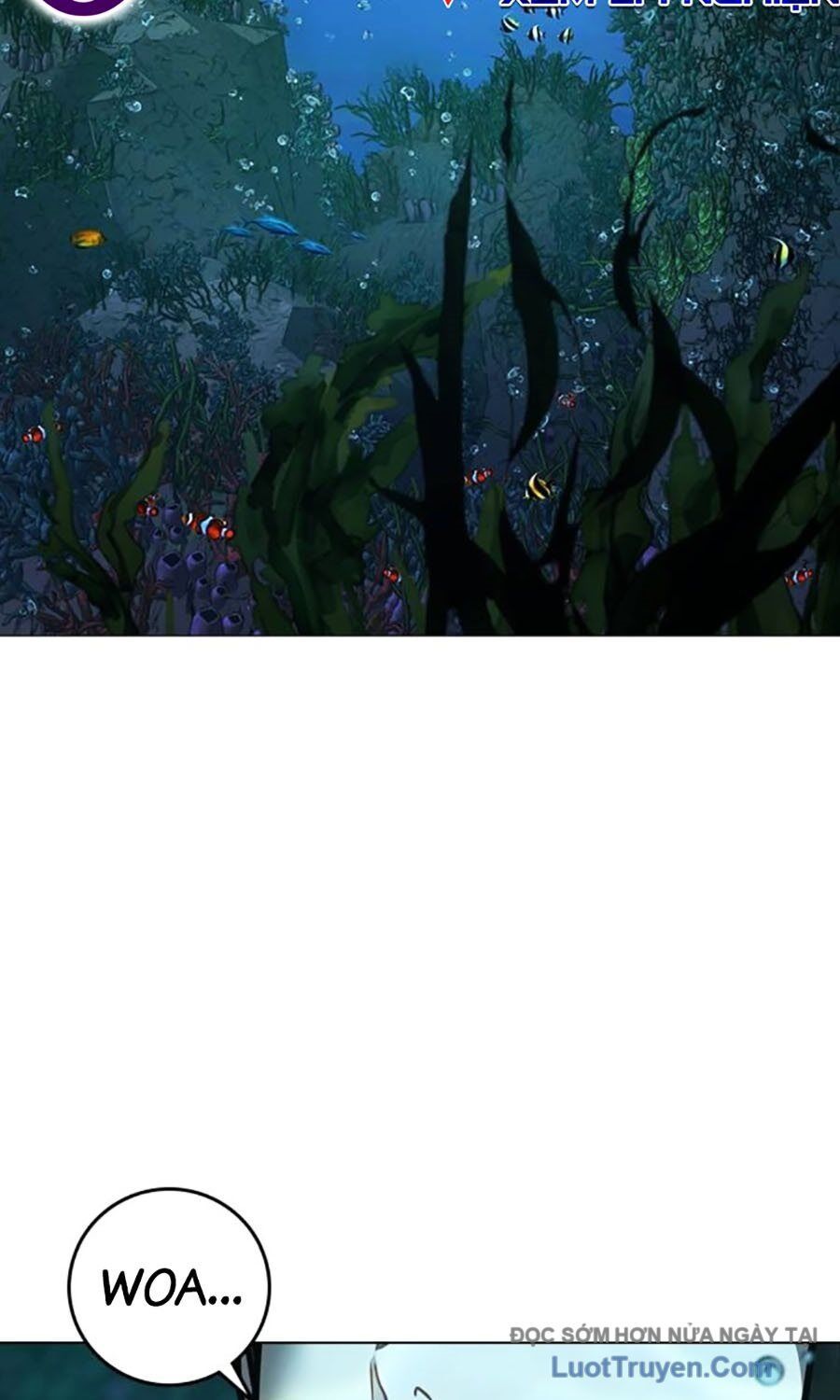 Chapter 172 trang 15