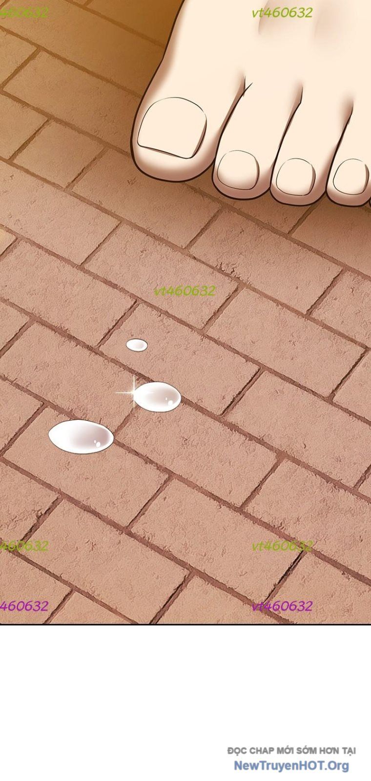 Chapter 138 trang 238