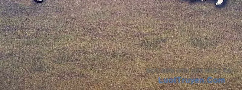 Chapter 163 trang 443