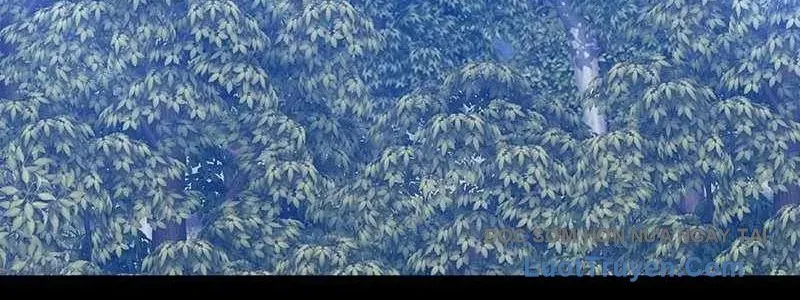 Chapter 163 trang 568