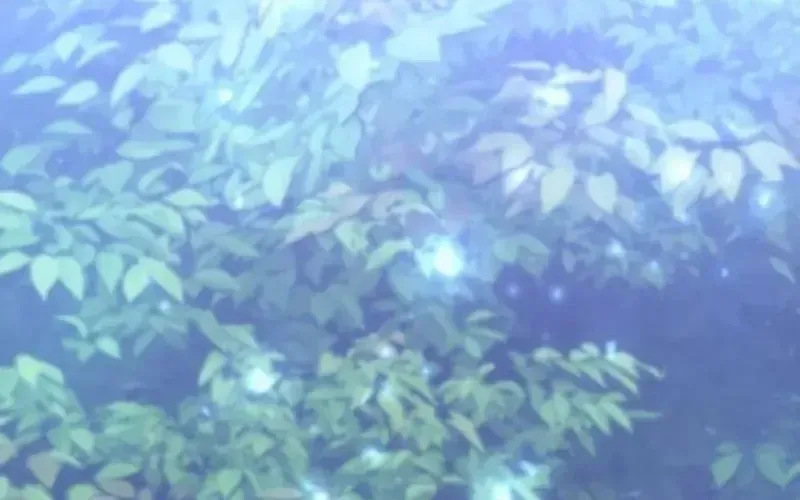 Chapter 11 trang 401