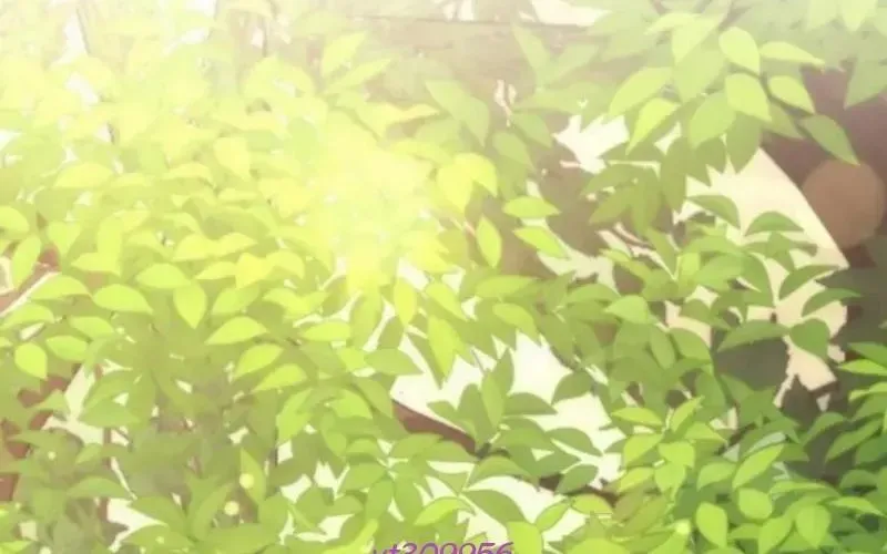 Chapter 11 trang 504