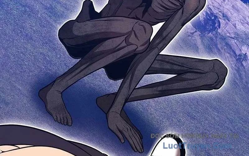 Chapter 165 trang 393