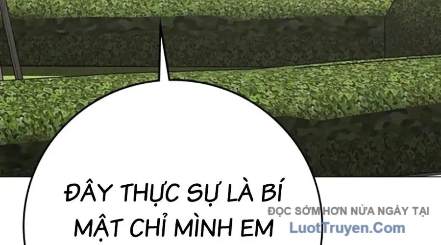 Chapter 176 trang 195