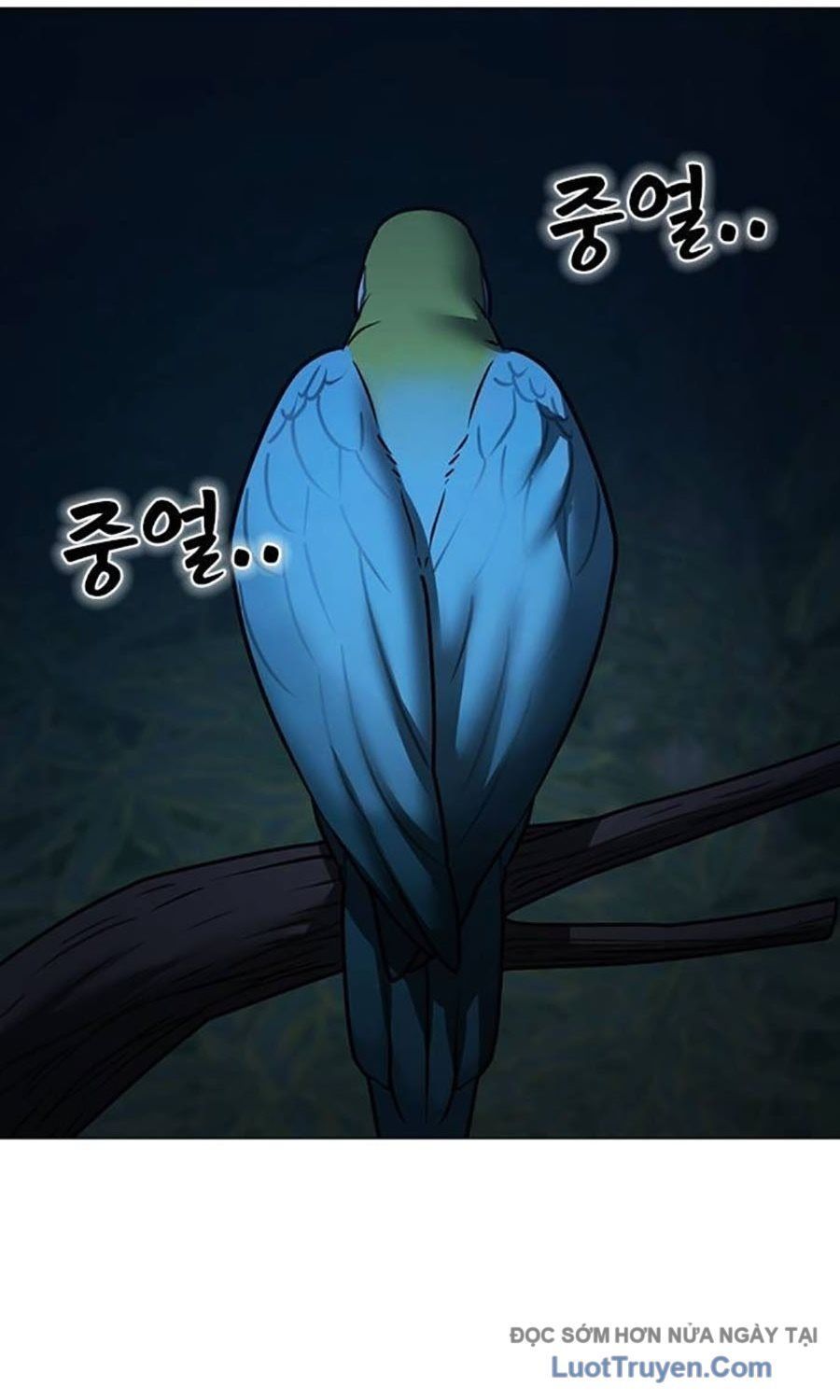 Chapter 177 trang 72