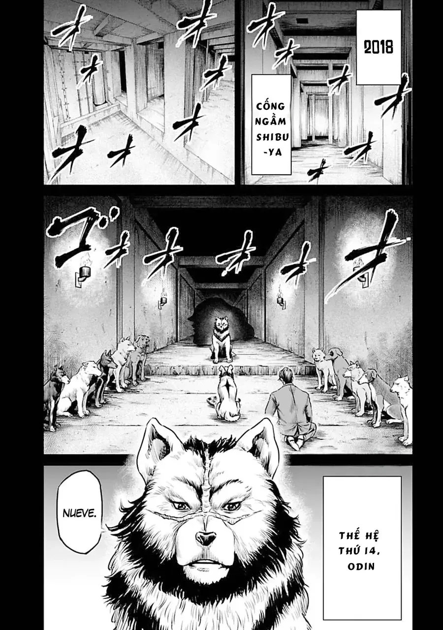 Chapter 55 trang 9