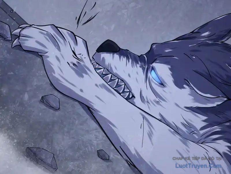 Chapter 21 trang 104