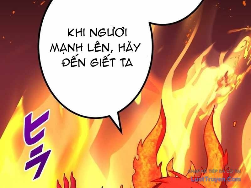 Chapter 113 trang 197