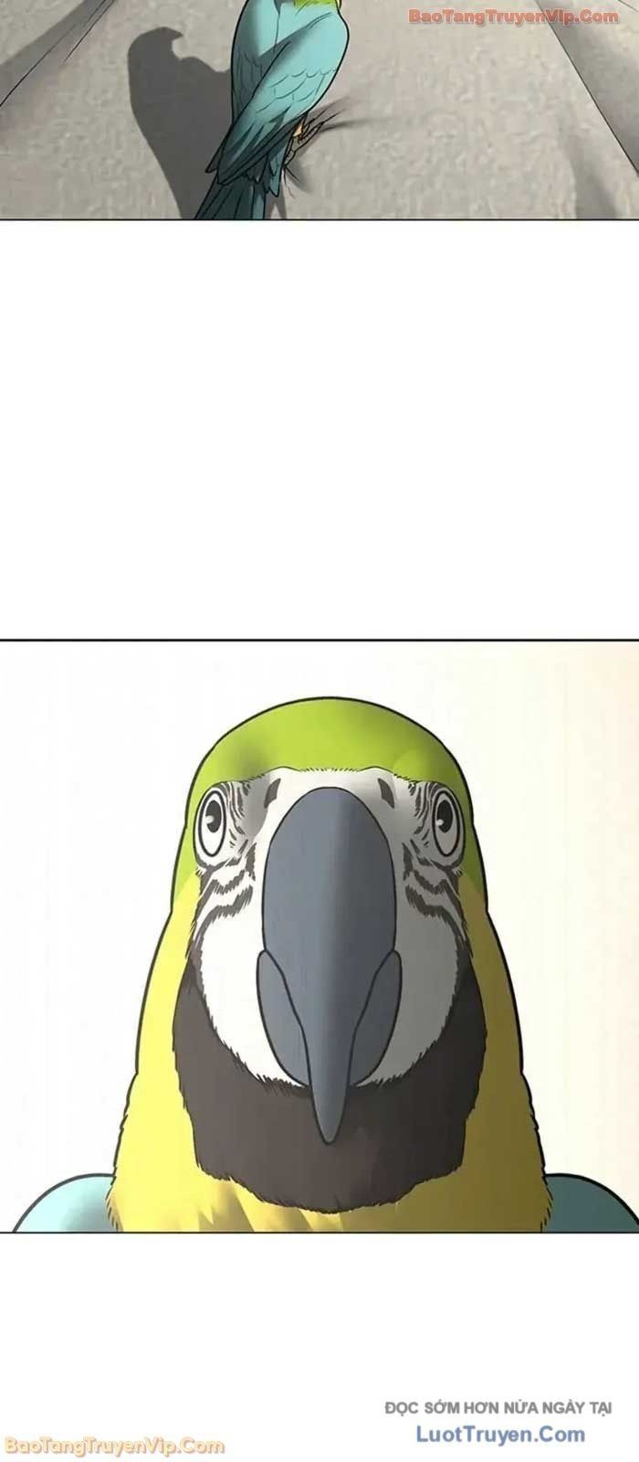 Chapter 184 trang 43