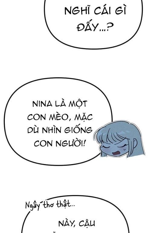 Chapter 13 trang 120